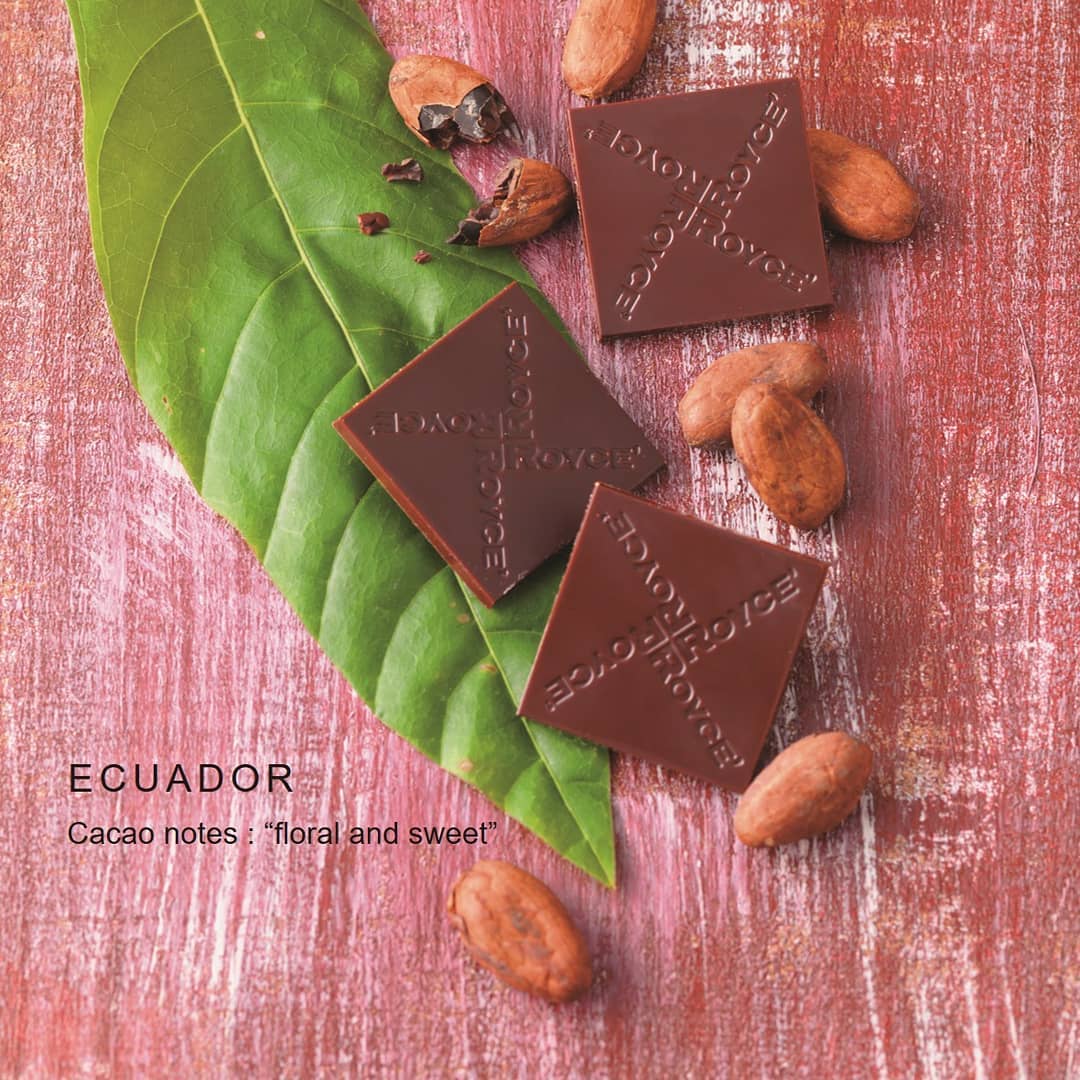 Royce' Origin Chocolate "Cacao 70%"