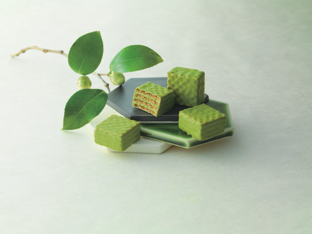 Chocolate Wafers "Matcha (12 pcs)"